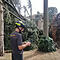 HANDOUT - Ein umgestürzter Baum im italienischen Bondeno. Foto: Vigili del Fuoco/dpa - ACHTUNG: Nur zur redaktionellen Verwendung im Zusammenhang mit der aktuellen Berichterstattung und nur mit vollständiger Nennung des vorstehenden Credits